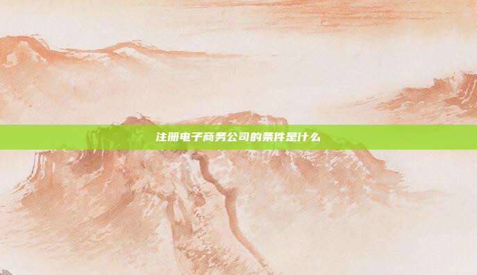注冊電子商務公司的條件是什么
