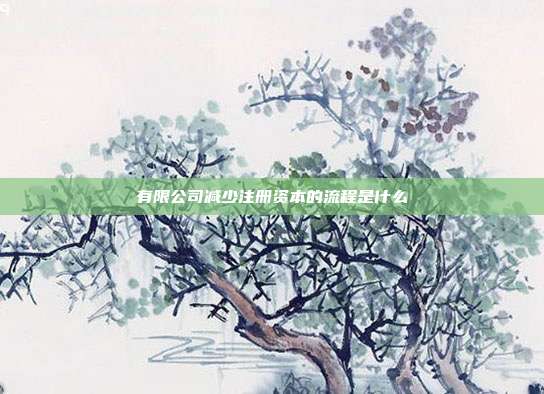 有限公司減少注冊資本的流程是什么