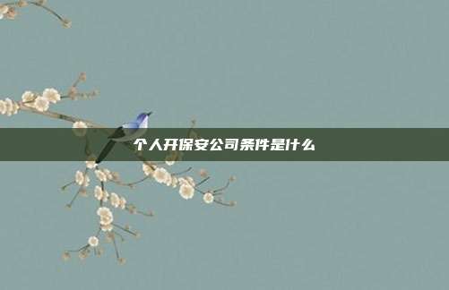 個人開保安公司條件是什么