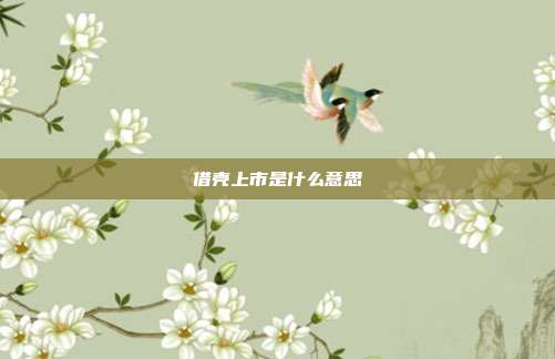 借殼上市是什么意思