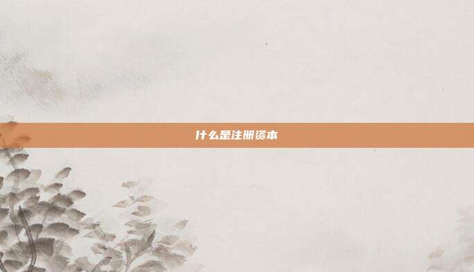 什么是注冊資本