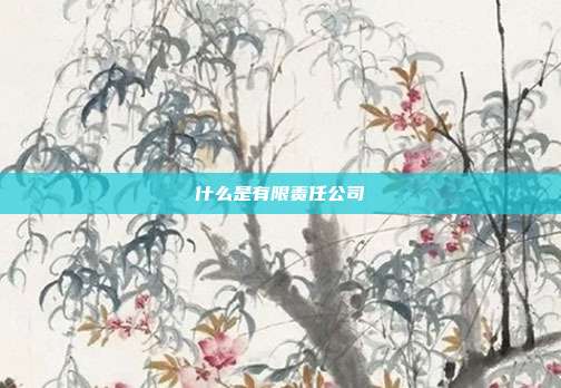 什么是有限責(zé)任公司