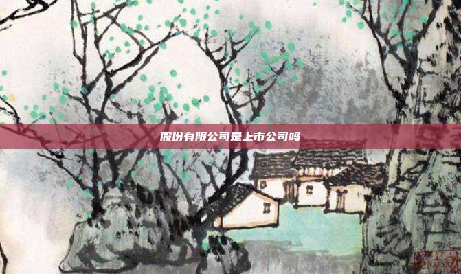 股份有限公司是上市公司嗎