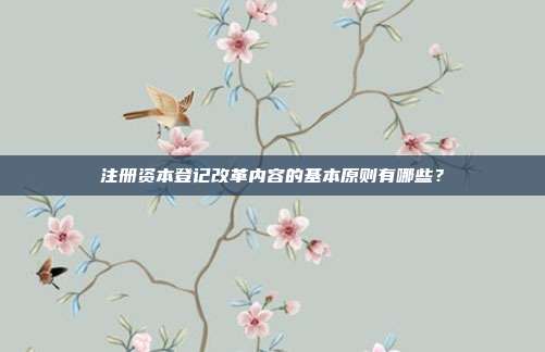注冊資本登記改革內(nèi)容的基本原則有哪些?