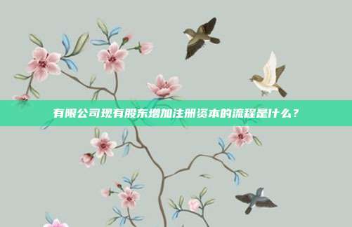 有限公司現有股東增加注冊資本的流程是什么？