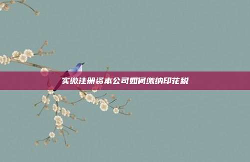 實繳注冊資本公司如何繳納印花稅