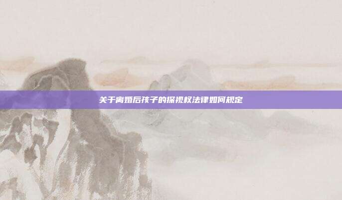 關于離婚后孩子的探視權(quán)法律如何規(guī)定