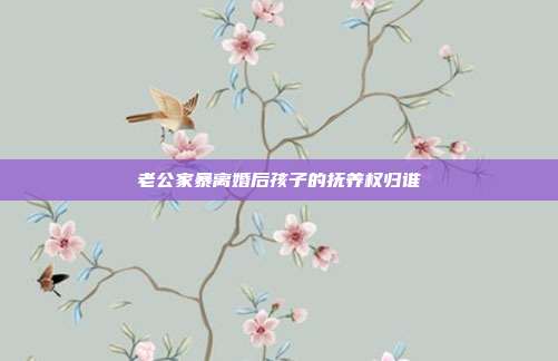 老公家暴離婚后孩子的撫養權歸誰