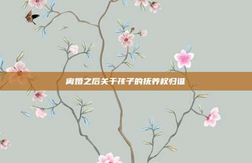 離婚之后關于孩子的撫養權歸誰