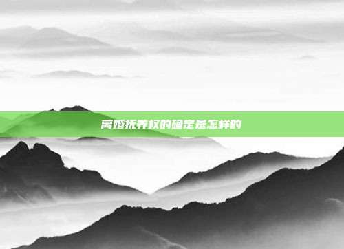 離婚撫養權的確定是怎樣的