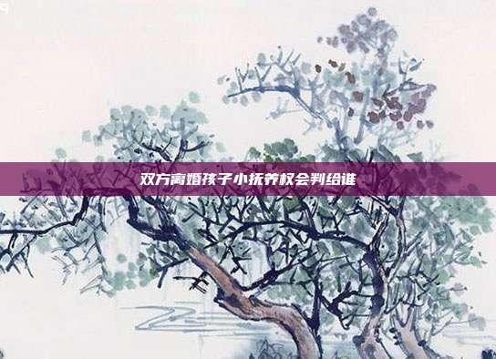 雙方離婚孩子小撫養(yǎng)權(quán)會(huì)判給誰(shuí)