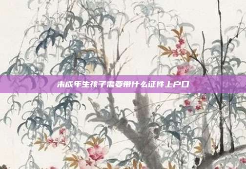 未成年生孩子需要帶什么證件上戶口
