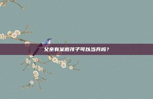 父親有案底孩子可以當(dāng)兵嗎?