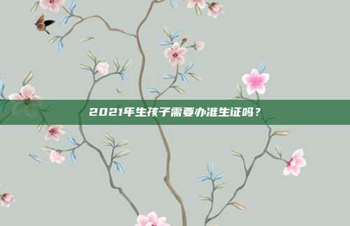 2021年生孩子需要辦準生證嗎?
