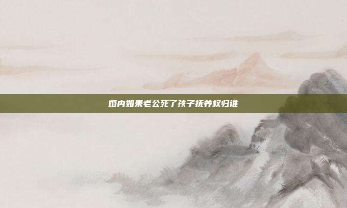 婚內如果老公死了孩子撫養(yǎng)權歸誰