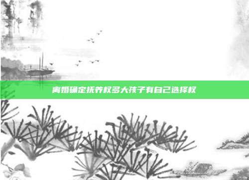 離婚確定撫養(yǎng)權(quán)多大孩子有自己選擇權(quán)