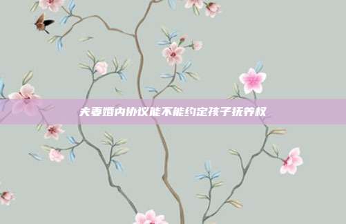 夫妻婚內(nèi)協(xié)議能不能約定孩子撫養(yǎng)權(quán)