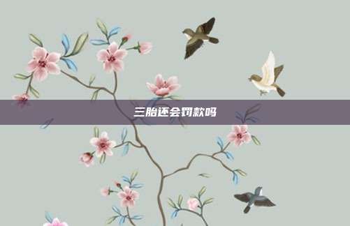 三胎還會罰款嗎