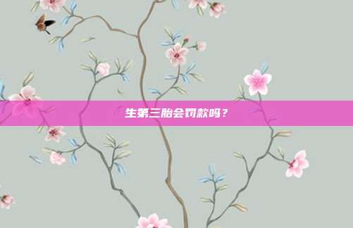 生第三胎會罰款嗎？