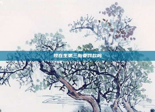 現在生第三胎要罰款嗎
