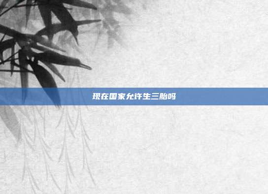 現在國家允許生三胎嗎