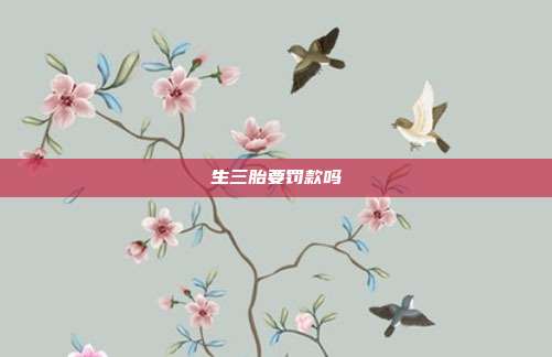 生三胎要罰款嗎