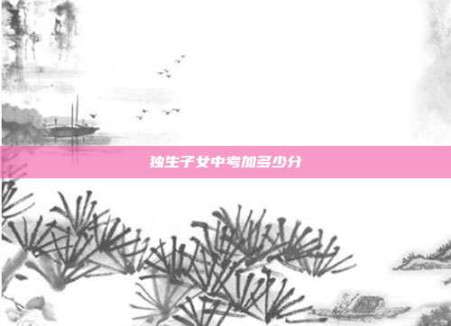 獨(dú)生子女中考加多少分