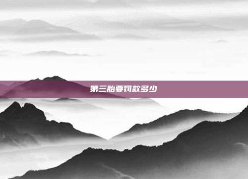 第三胎要罰款多少
