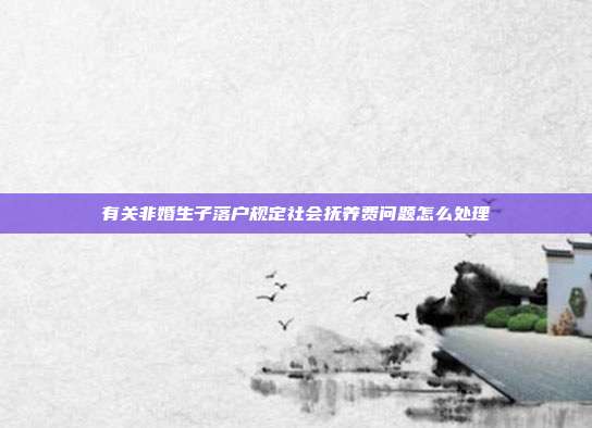 有關非婚生子落戶規定社會撫養費問題怎么處理