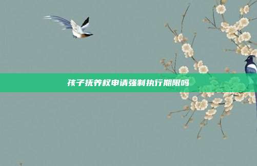 孩子撫養權申請強制執行期限嗎