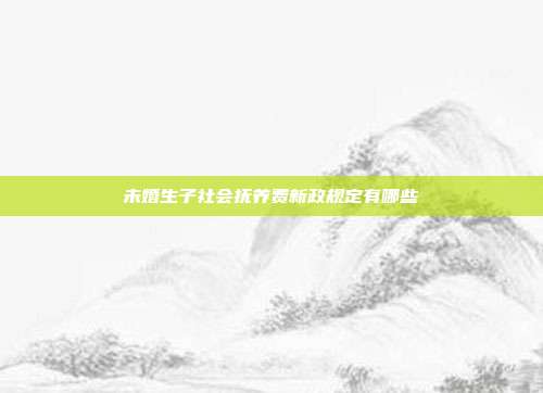未婚生子社會撫養(yǎng)費新政規(guī)定有哪些