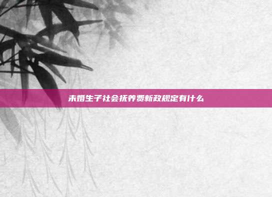 未婚生子社會(huì)撫養(yǎng)費(fèi)新政規(guī)定有什么