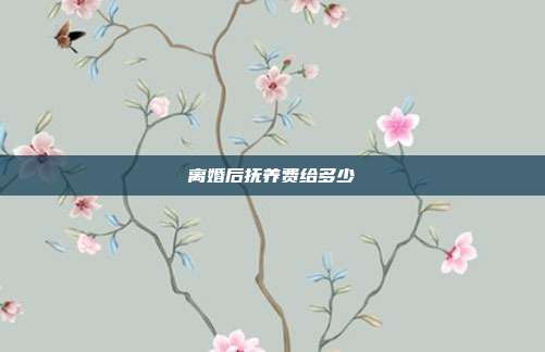 離婚后撫養費給多少