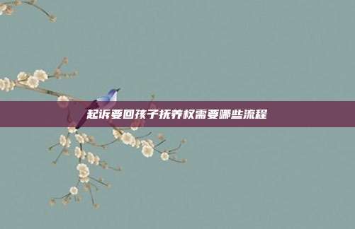 起訴要回孩子撫養權需要哪些流程