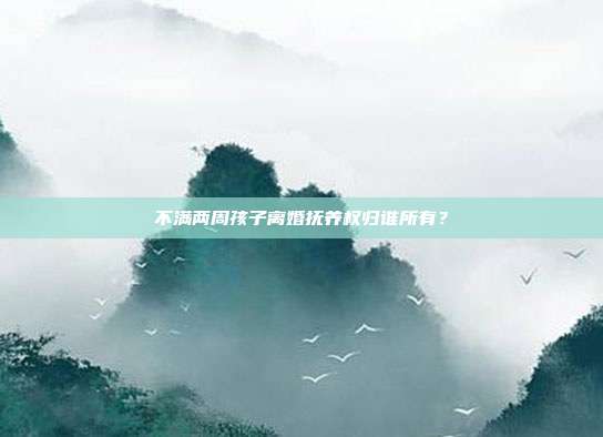 不滿兩周孩子離婚撫養權歸誰所有?
