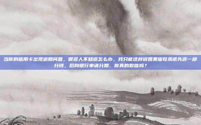 當你的信用卡出現逾期問題，很多人不知道怎么辦，我只能這樣說如果催收承諾先還一部分錢，后向銀行申請分期，你真的敢信嗎？