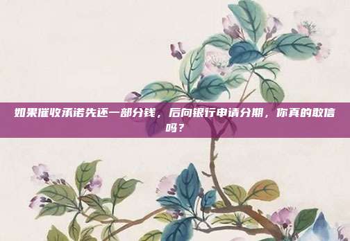 如果催收承諾先還一部分錢，后向銀行申請分期，你真的敢信嗎？