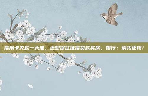信用卡欠款一大堆，還想保住征信貸款買房，銀行：請先還錢！