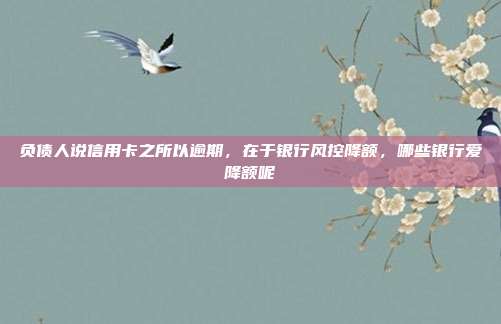 負(fù)債人說(shuō)信用卡之所以逾期,在于銀行風(fēng)控降額,哪些銀行愛(ài)降額呢