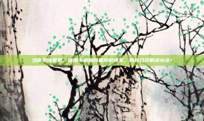 當(dāng)你負(fù)債累累，信用卡逾期問題同時(shí)爆發(fā)，教你幾招解決辦法！