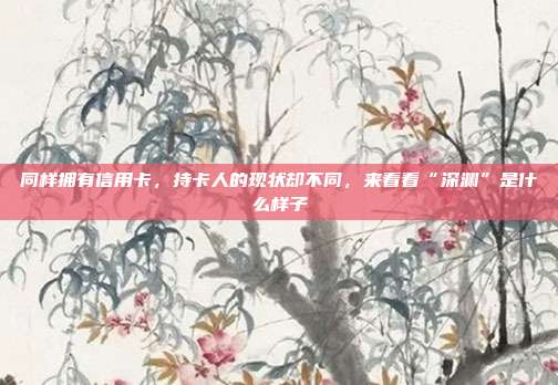 同樣擁有信用卡,持卡人的現狀卻不同,來看看“深淵”是什么樣子