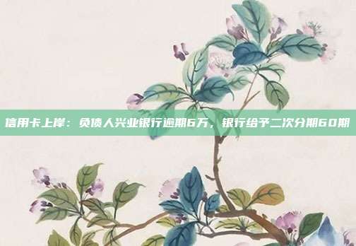 信用卡上岸：負(fù)債人興業(yè)銀行逾期6萬，銀行給予二次分期60期