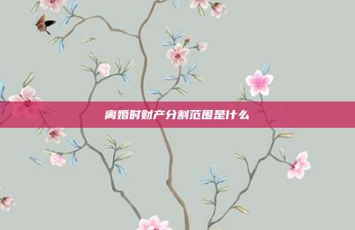 離婚時財產分割范圍是什么