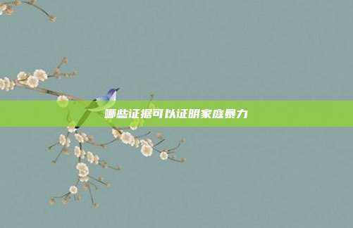 哪些證據可以證明家庭暴力
