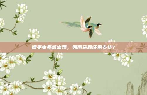 遭受家暴想離婚，如何獲取證據支持？