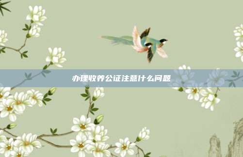 辦理收養(yǎng)公證注意什么問題