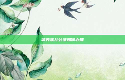 領(lǐng)養(yǎng)孤兒公證如何辦理