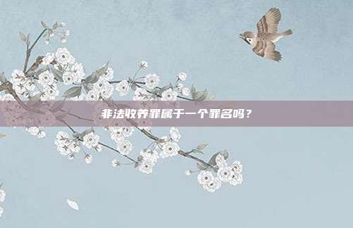 非法收養(yǎng)罪屬于一個(gè)罪名嗎？