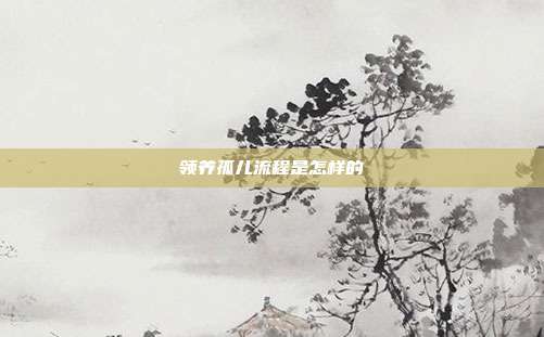 領養孤兒流程是怎樣的