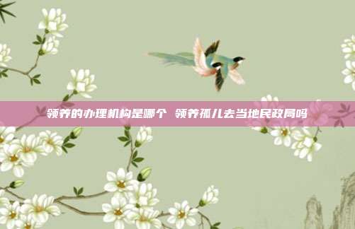 領(lǐng)養(yǎng)的辦理機構(gòu)是哪個 領(lǐng)養(yǎng)孤兒去當?shù)孛裾謫?></center><p style=